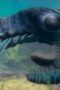 Nonton Film Life on Our Planet Season 1 Episode 2 Terbaru Nonton Film Life on Our Planet Season 1 Episode 2 Terbaru