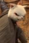 Nonton Film White Cat Legend Season 1 Episode 5 Terbaru Nonton Film White Cat Legend Season 1 Episode 5 Terbaru